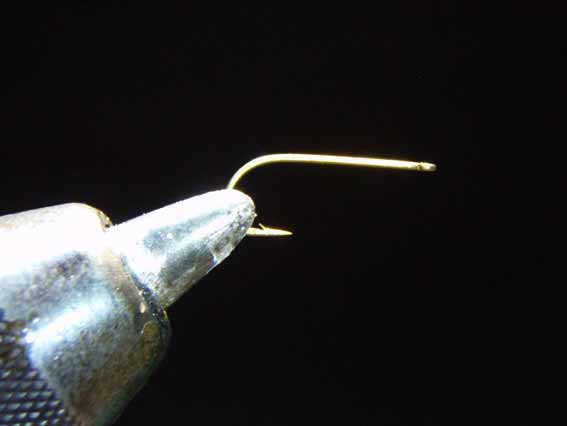 P6130004
