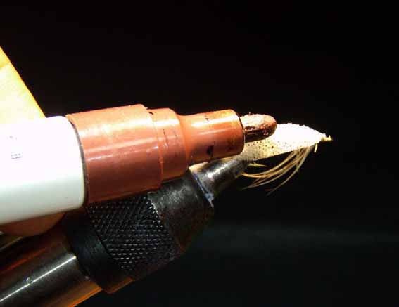 P6130020
