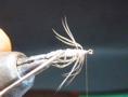 P6130017