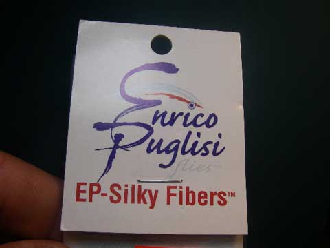 IMGP0019.JPG