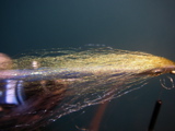IMGP0024.JPG