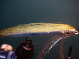 IMGP0026.JPG