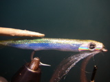 IMGP0027.JPG