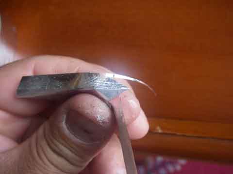 IMGP0019