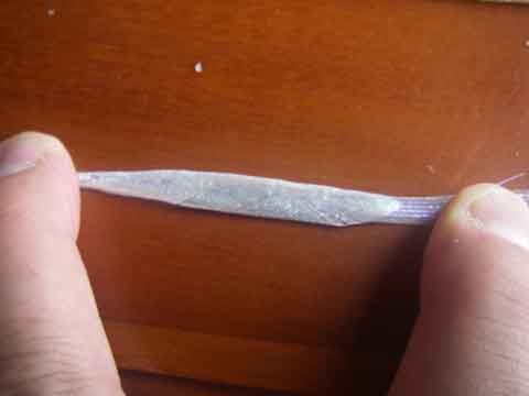 IMGP0030