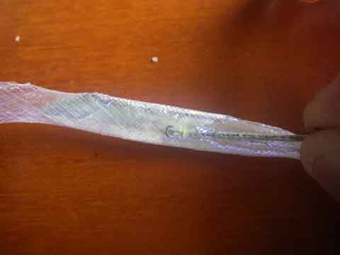 IMGP0033