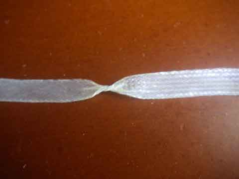 IMGP0008