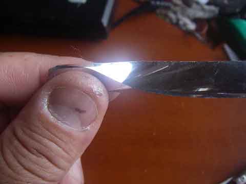 IMGP0016